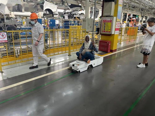 央媒聚焦襄阳 中央广播电视总台亚非中心探访襄州与高新区，解码产业发展的“襄阳密码”